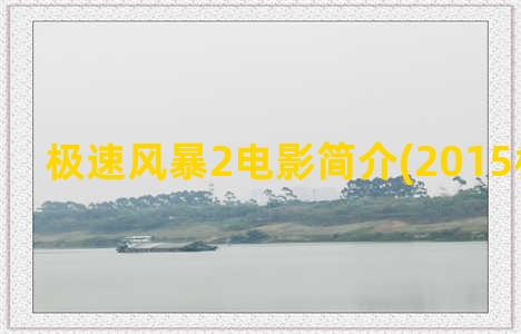 极速风暴2电影简介(2015极速风暴)