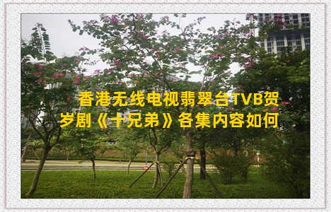香港无线电视翡翠台TVB贺岁剧《十兄弟》各集内容如何